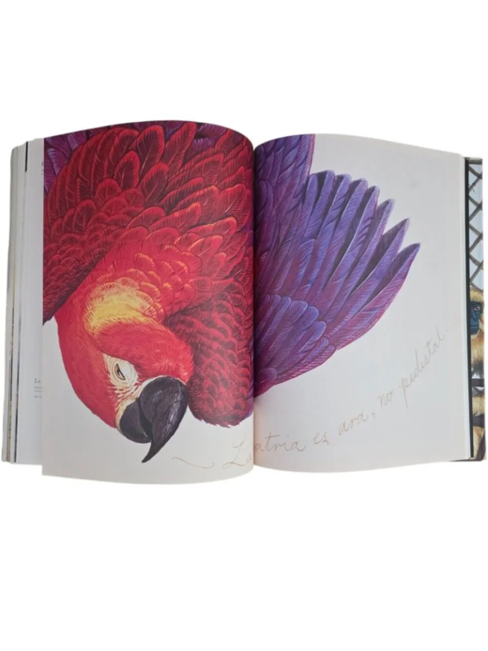 Walton Ford Pancha Tantra by Bill Buford 2009 Hardcover Art Monograph Book